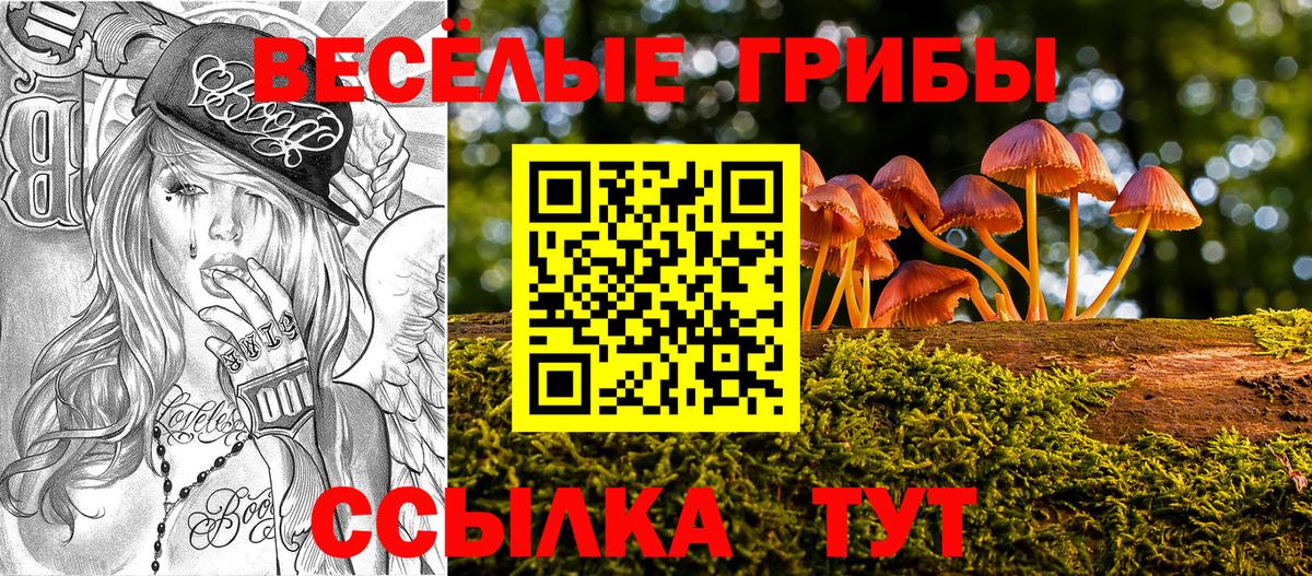 Галлюциногенные грибы ЛСД  Вход с VPN  Псилоцибиновые грибы GOLDEN TEACHER  Жигулёвск 
